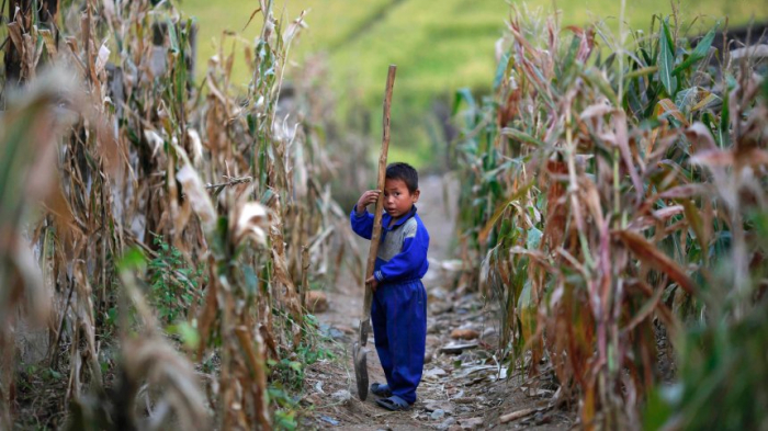 Elf Millionen Nordkoreaner sind unterernährt