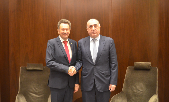   Außenminister:  IKRK-Hauptpartner Aserbaidschans im humanitären Bereich 