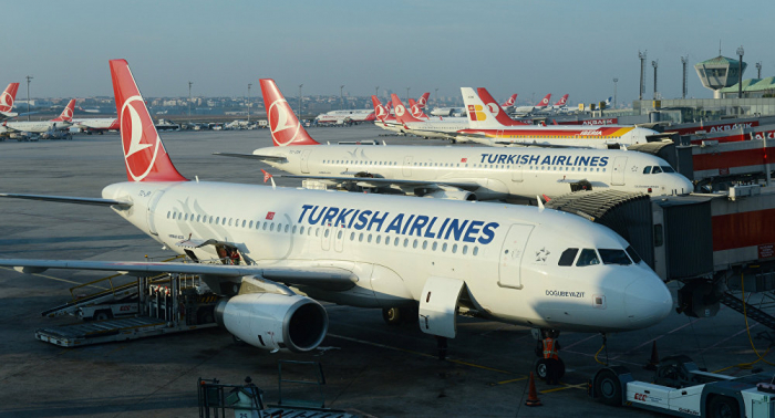     Bundespolizei muss eingreifen:   Demonstranten legen an Flughäfen Schalter von Turkish Airlines lahm  