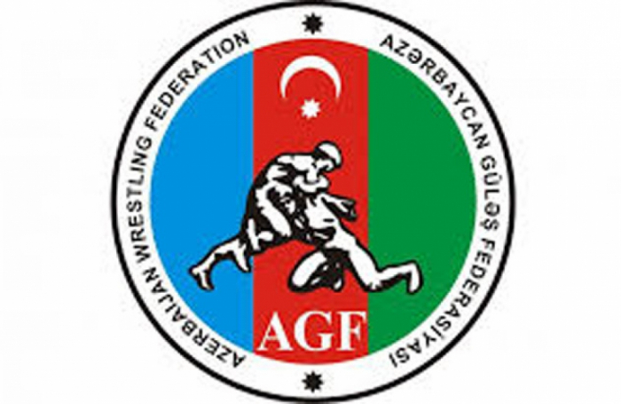 Azerbaijani freestyle wrestlers to contest medals at Intercontinental Cup