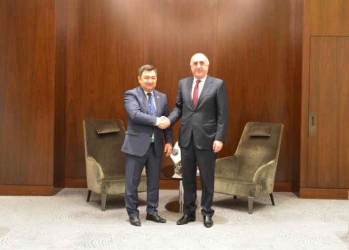 Azerbaijani FM meets president of International Turkic Academy