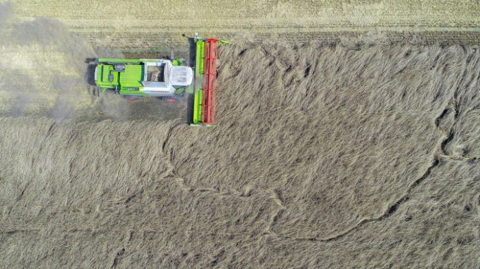 Klage gegen Klimapolitik der Bundesregierung