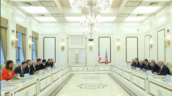   Ogtay Asadov: Estamos seguros de que las relaciones entre Azerbaiyán y Georgia se desarrollarán y fortalecerán cada año 