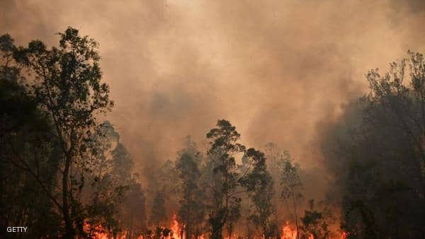 أستراليا تحاول احتواء حرائق الغابات.. وتستعد للأسوأ