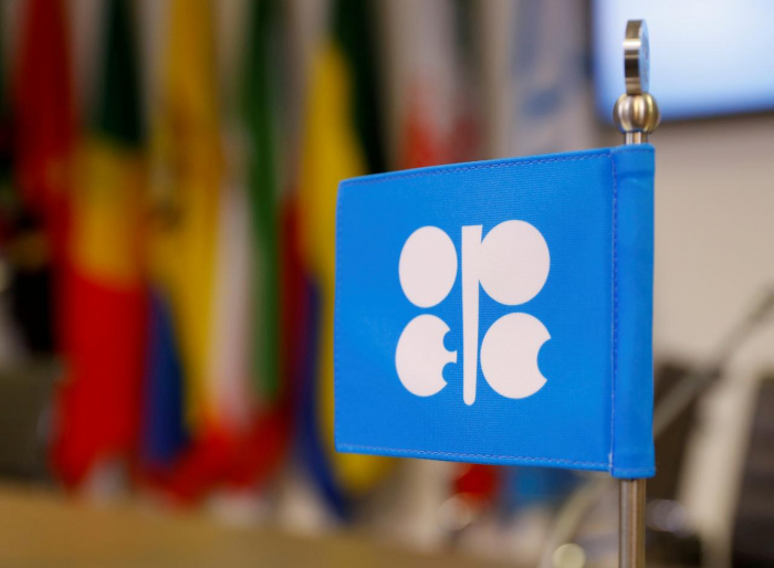 OPEC sees its oil market share shrinking, lowers demand view