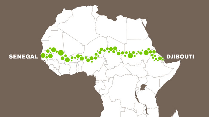 Ces 21 pays d’Afrique construisent une Grande muraille verte pour stop­per le réchauf­fe­ment clima­tique