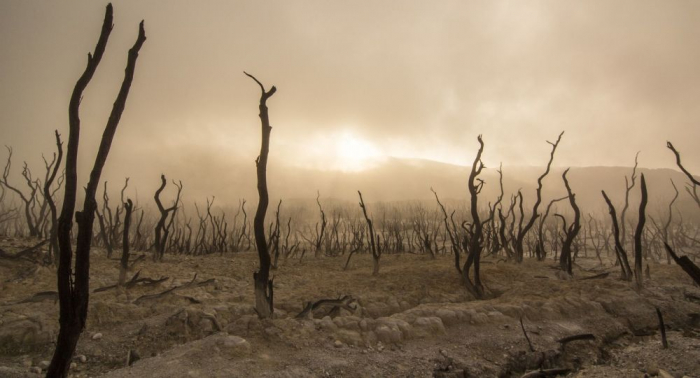   Menschheit droht „unsägliches Leid”: 11.000 Forscher warnen vor „Klima-Notfall“  