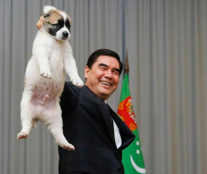 Au Turkménistan, un chien élevé au rang de symbole national
