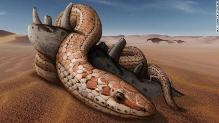 Snakes had back legs for 70 million years before losing them, new fossil shows