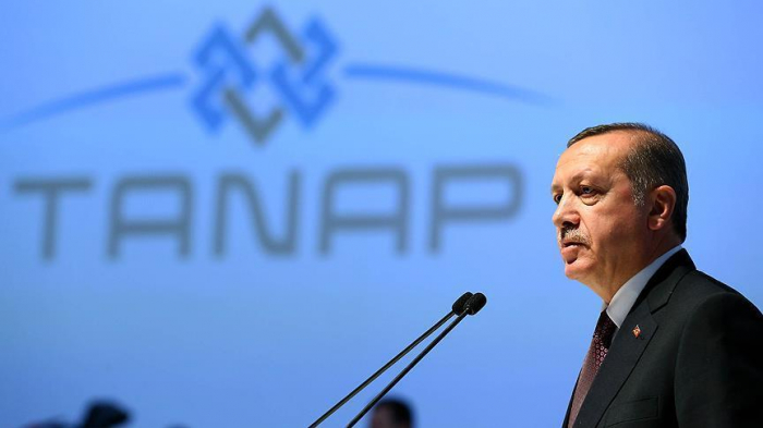 We will contribute to Europe’s energy security with TANAP, says Turkish President 