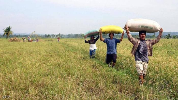 شاحنة أرز "تسحق" 19 مزارعا في الفلبين