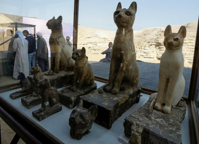 Egypt unveils mummified lion cubs, cats, crocodiles