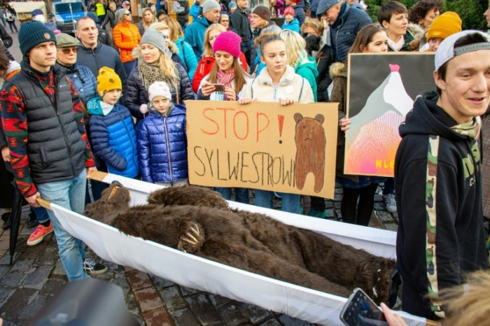 Pologne: le concert du Nouvel An déplacé pour laisser les ours dormir