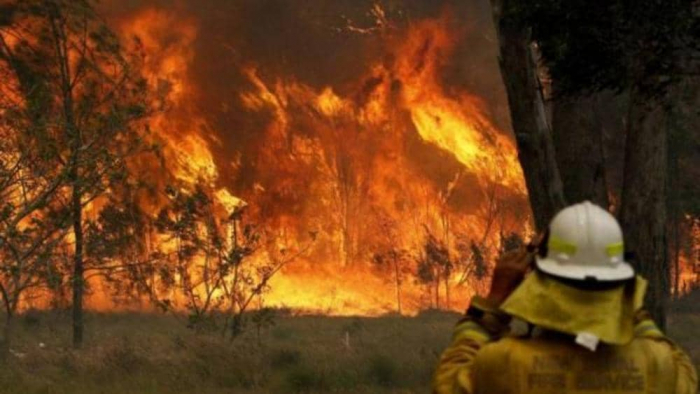أستراليا.. ارتفاع حصيلة قتلى حرائق الغابات