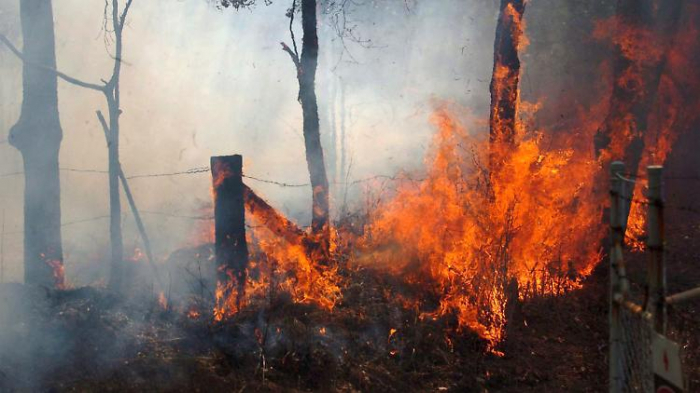 Buschbrände wüten weiter – bislang vier Tote