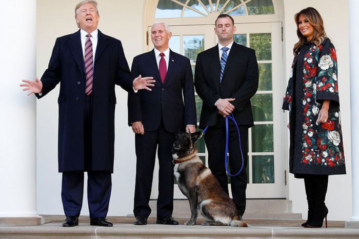 Trump décore Conan, le “chien incroyable” héros du raid contre Baghdadi