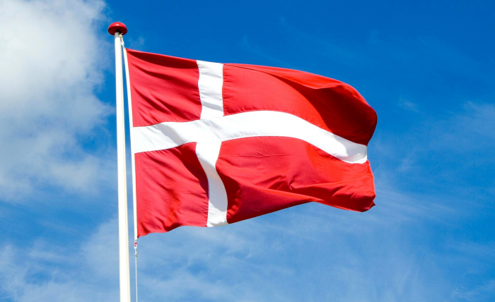  Danemark:  2 citoyens déchus de leur nationalité après avoir rejoint Daech