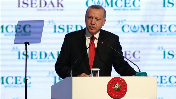   Erdogan: "Les membres élus du Conseil de Sécurité de l