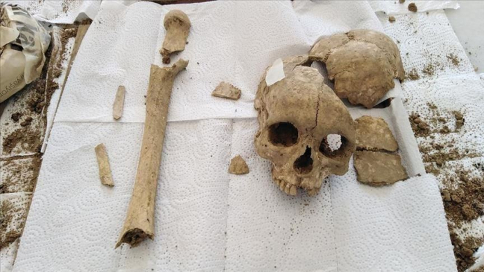  Turquie:  Découverte d’un crâne humain vieux de 3500 ans