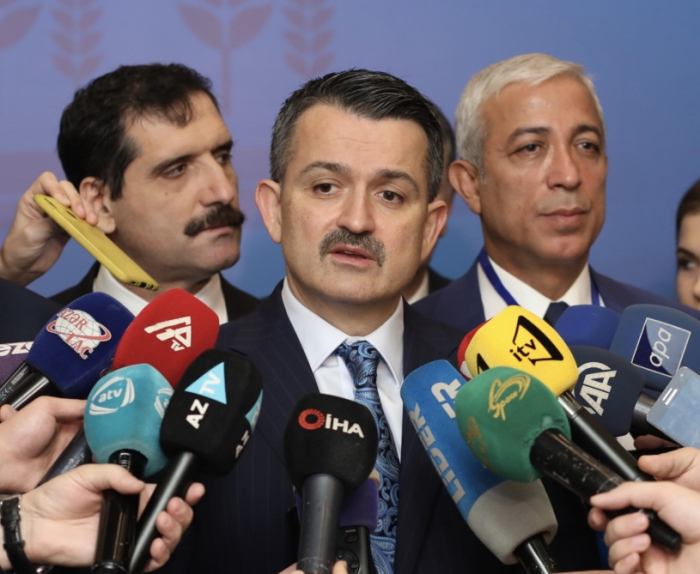  L’Azerbaïdjan, la Turquie et la Géorgie ont élaboré des projets pour la réalisation conjointe de l’exportation de noisettes 