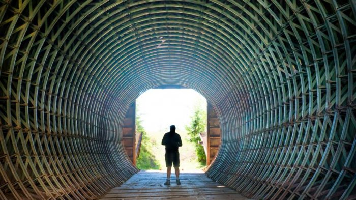  How busyness leads to bad decisions 