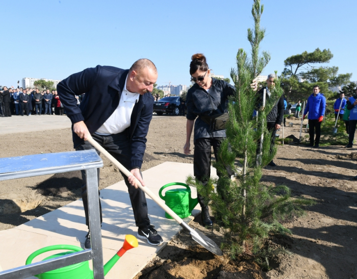  German portal highlights tree planting campaign held in Azerbaijan 