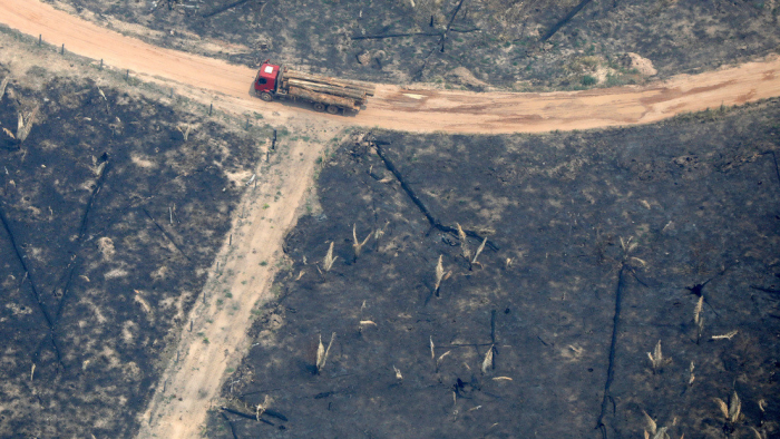 Deforestación en la Amazonía brasileña aumentó 103,7 % en noviembre