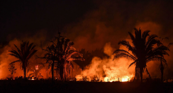   El planeta en llamas  : un aterrador vídeo muestra los incendios forestales del 2019