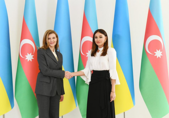  First VP Mehriban Aliyeva meets Ukraine