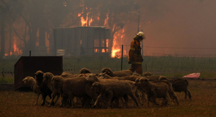   Vuelven a decretar estado de emergencia por los incendios en el sureste de Australia  