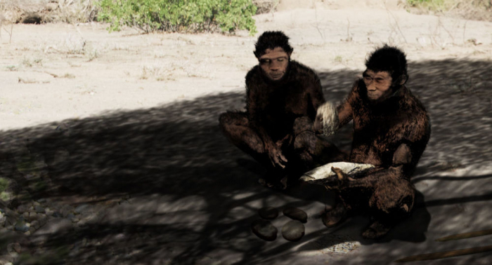   Nuestros antepasados  : el último homo erectus vivió más de lo que creíamos
