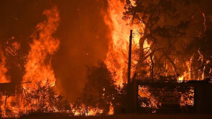 Australier werden Mega-Feuers nicht Herr