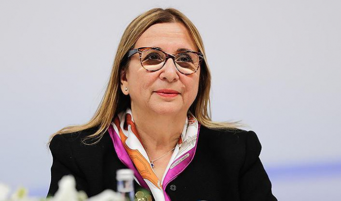   La ministra de Turquía arribará a Azerbaiyán  