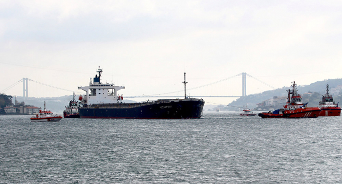 Un buque de carga choca en las costas de Estambul