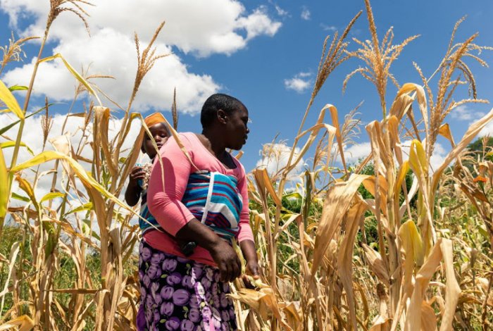 Zimbabwe edges closer to famine