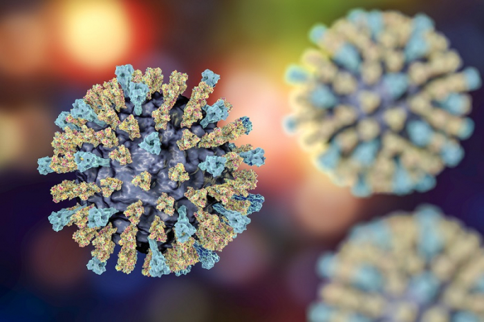   5 most notable   disease   outbreaks of 2019  