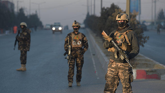 Afghan forces kill 5 militants in western province