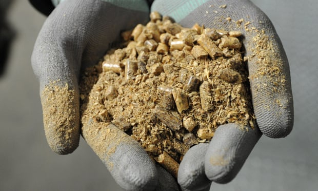 Converting coal plants to biomass could fuel climate crisis, scientists warn
