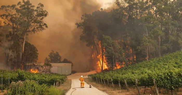Australian PM under pressure as bushfires fuel climate debate