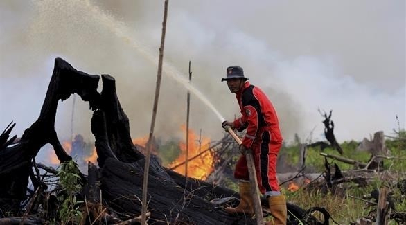 حرائق الغابات تكلف إندونيسيا 5 مليارات دولار
