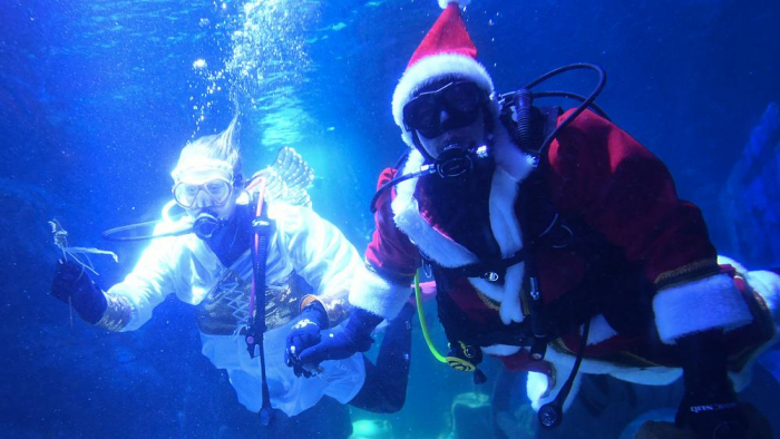   Santa Claus moves from North Pole to Berlin aquarium-   NO COMMENT    