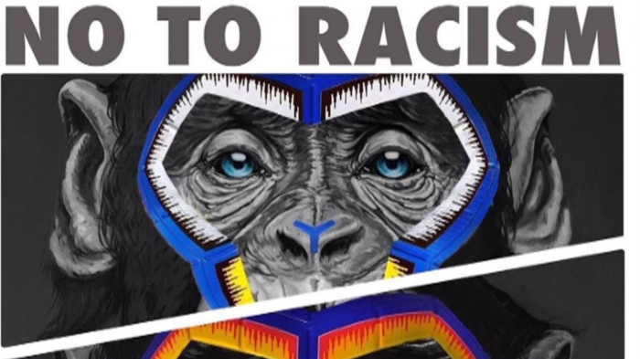  Serie A anti-racism campaign  sparks criticism over images of monkeys
