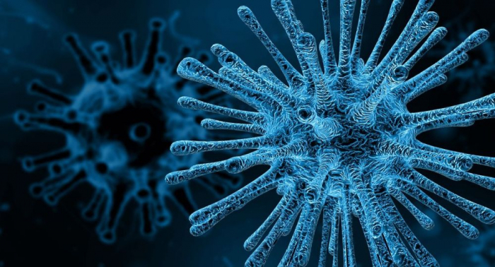 La Chine rend publique la photo du mortel coronavirus