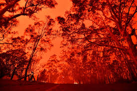 Twelve dead, several missing as Australia counts the cost of devastating bushfires