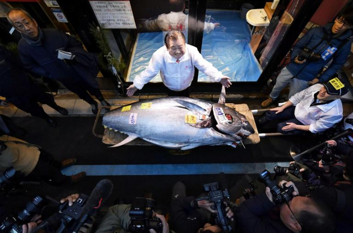Japon : un thon géant vendu 1,5 million d