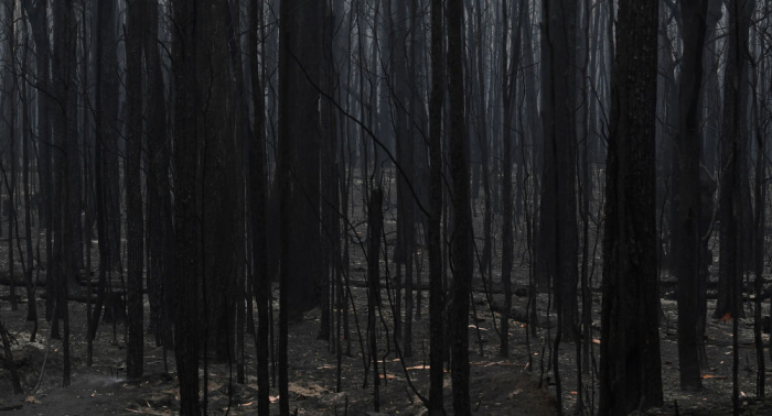 Australia asigna $1.400 millones para mitigar las secuelas de los incendios forestales