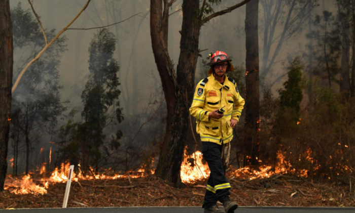   Australia bushfires: heavy smoke slows down rescue teams-   NO COMMENT    