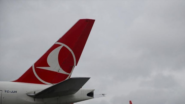 Turkish Airlines suspends flights to Iraq, Iran