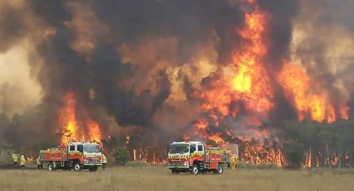 Mehrere Botschaften in Australien wegen Buschfeuern geschlossen