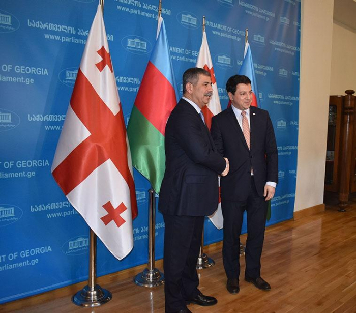   Ministro de Defensa se reúne con presidente del Parlamento georgiano -   FOTO    
